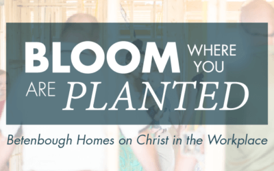 Bloom where You’re Planted